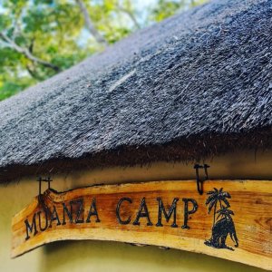 Accommodation Muanza Camp Mozambique