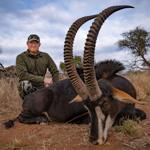 Sable Hunting South Africa