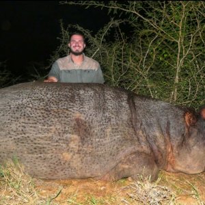 Hippo Hunt South Africa