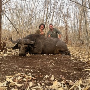 Buffalo Hunting Mozambique