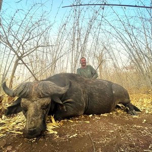 Buffalo Hunting Mozambique