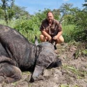 Buffalo Hunting Namibia