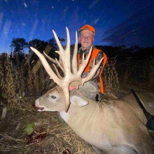 White-Tailed deer Hunting Illinois