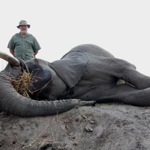 Elephant Hunt Namibia