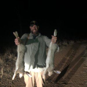 Rabbit Hunt South Africa