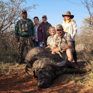 Buffalo Hunting South Africa