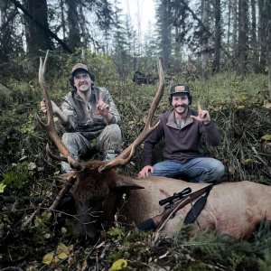 Elk Hunting Canada