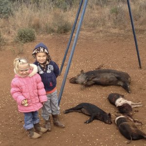 Pig Hunt Texas