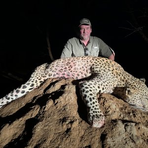 Leopard Hunt Namibia