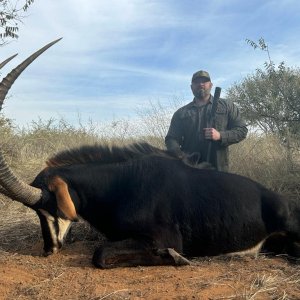 Sable Hunt South Africa