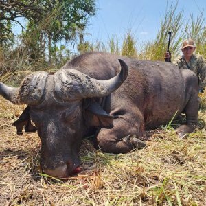 Buffalo Hunt Mozambique