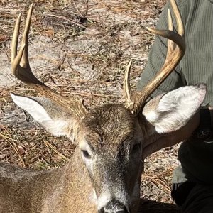 Whitetail Deer Hunt South Georgia