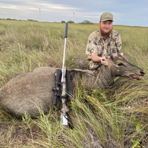 Texas Nilgai Hunt