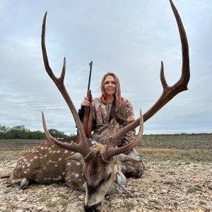 Axis Deer Hunt Texas