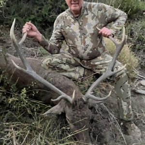 Red Stag Hunt Argentina