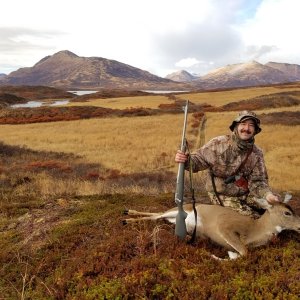 Sitka Deer Hunt Alaska