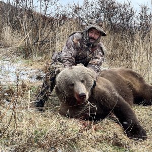 Kodiak Brown Bear Hunt Alaska