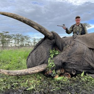 Elephant Hunt Tanzania