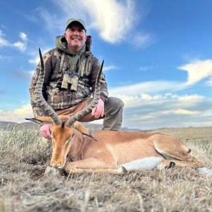 Impala Hunting Eastern Cape South Africa