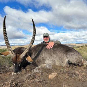 Waterbuck Hunting Eastern Cape South Africa