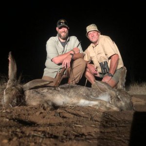 Hunting Hare South Africa