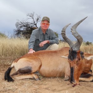 Red Hartebeest Hunt Namibia