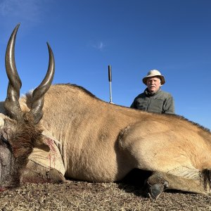 Eland Hunt South Africa