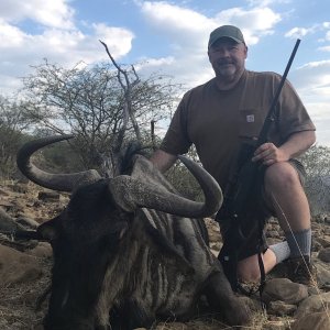 Blue Wildebeest Hunt Namibia