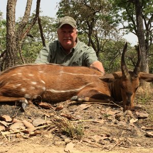 Bushbuck Hunt