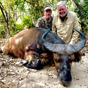 Western Savanna Buffalo Hunt Cameroon