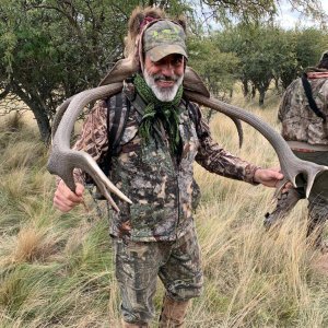 Red Stag Hunt Argentina