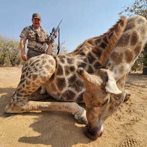 Giraffe Hunt South Africa