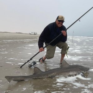 Bronze Whaler Shark Fishing, Namibia