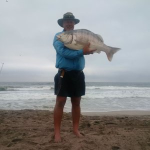 West Coast Steenbra Fishing Namibia