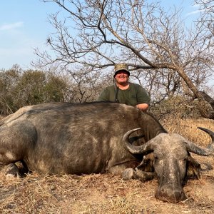 Buffalo Hunt South Africa