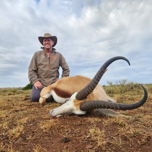 Springbok Hunt Eastern Cape South Africa