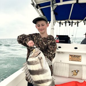 Fishing Sheepshead Seabream