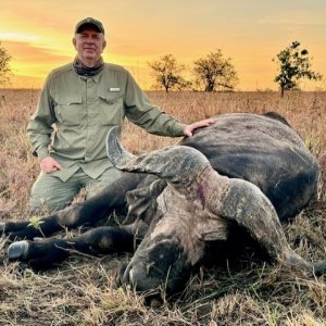 Buffalo Hunt Uganda