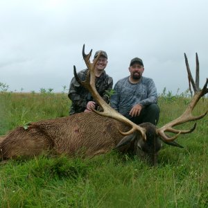 Red Deer Hunt Argentina