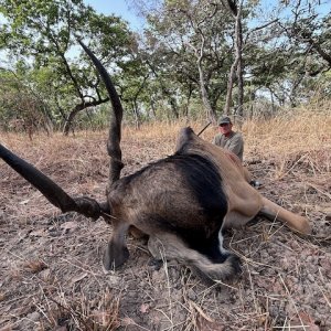 Eland Hunt Cameroon