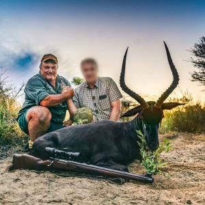 Black Impala Hunt South Africa