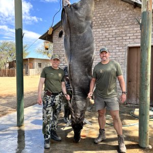 Eland Hunt Namibia