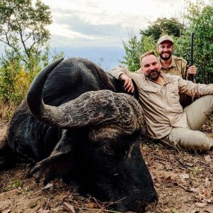 Hunting Buffalo Zimbabwe