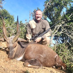 Bushbuck Hunt South Africa