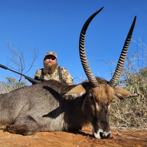 Waterbuck Hunt South Africa