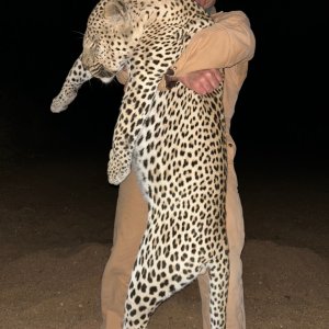 Leopard Hunt Zimbabwe