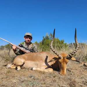 Impala Hunt Eastern Cape South Africa