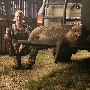 200+Lb Texas Pig Hunt