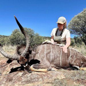 Nyala Hunt South Africa