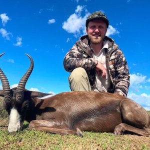 Black Springbok Hunt South Africa